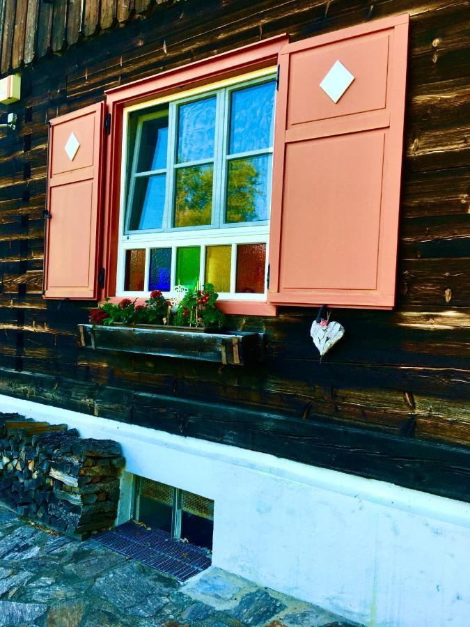 Naturforsthaus Ferienwohnung Fuer Hunde- Und Tierverbundene Menschen Preitenegg 外观 照片
