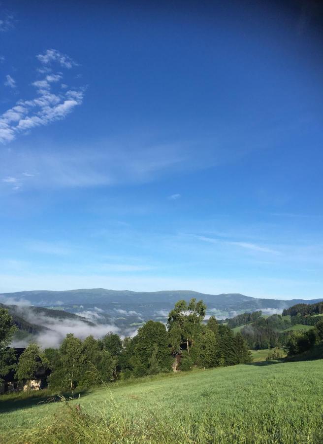 Naturforsthaus Ferienwohnung Fuer Hunde- Und Tierverbundene Menschen Preitenegg 外观 照片