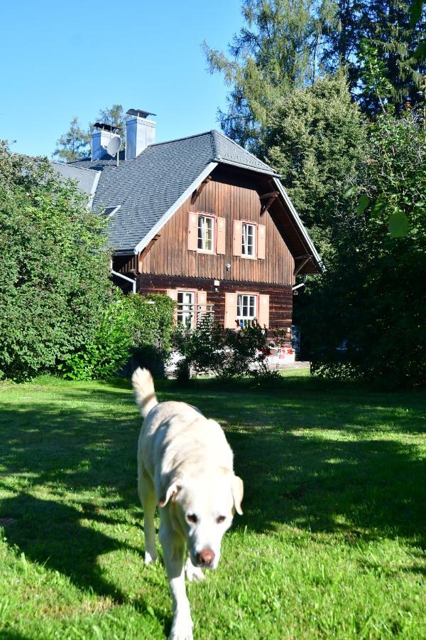 Naturforsthaus Ferienwohnung Fuer Hunde- Und Tierverbundene Menschen Preitenegg 外观 照片
